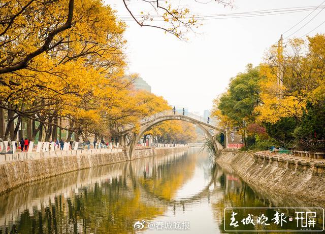 新浪微博