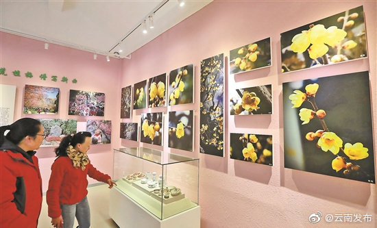 云南“龙泉探梅”非遗文化展示馆开馆