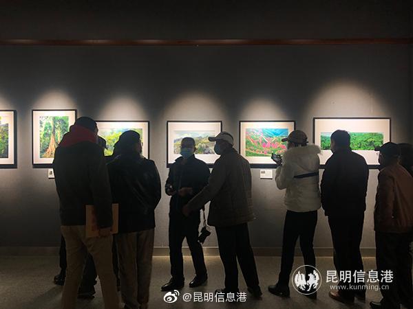 新浪微博