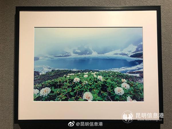 新浪微博