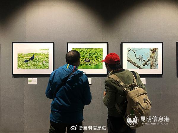 新浪微博