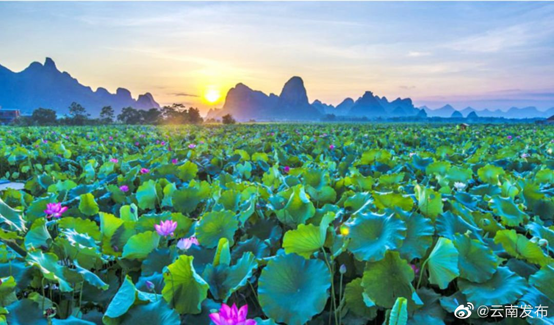 云南环境空气质量预报