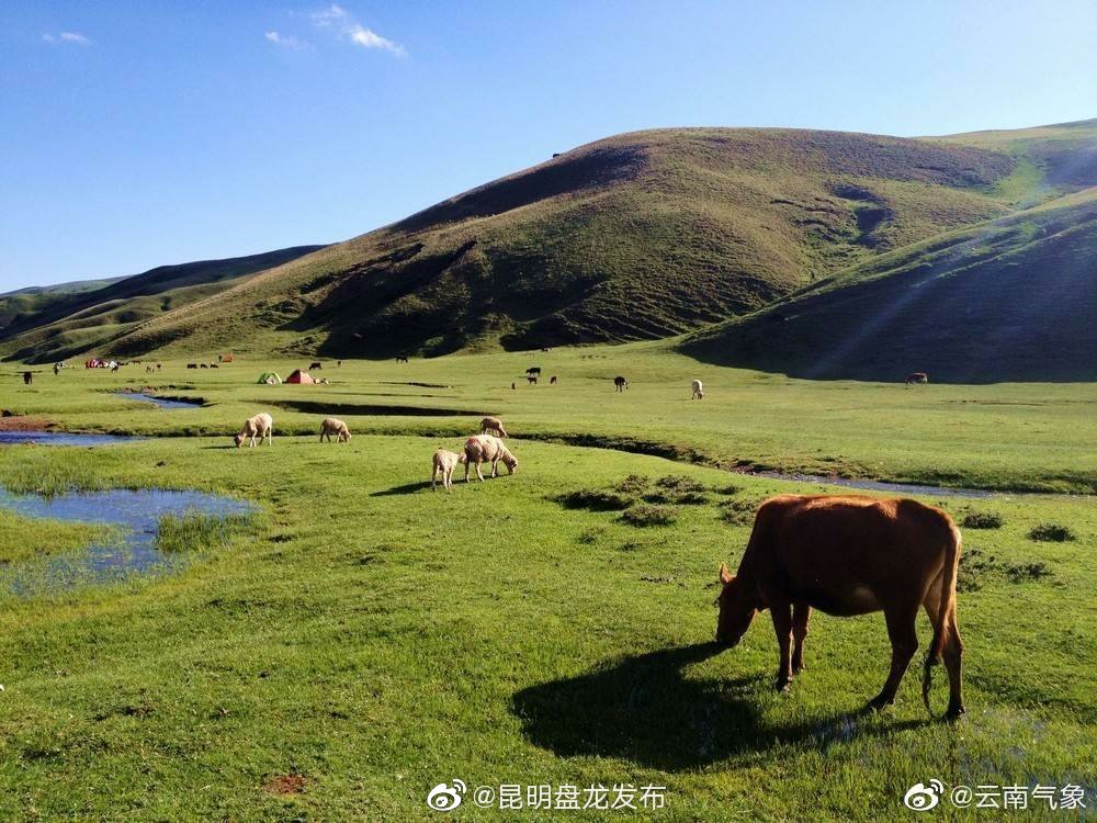 云南省未来24小时天气预报