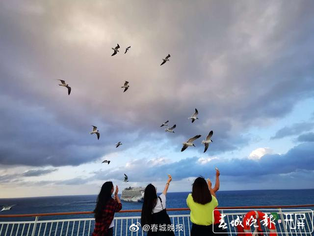 我的2020 | 穿越半个地球回家