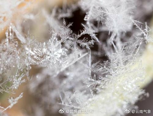 云南省未来24小时天气预报