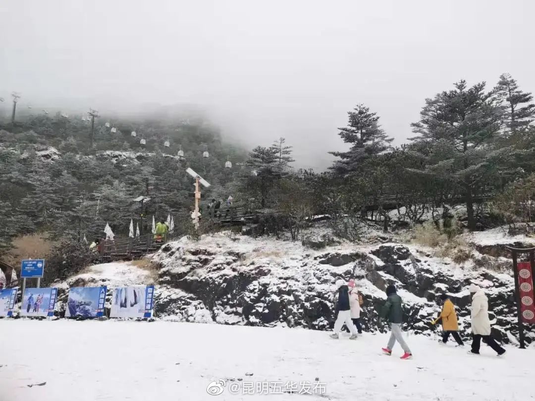 新浪微博