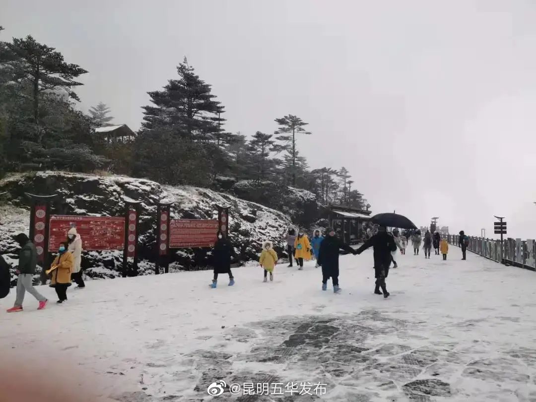 新浪微博