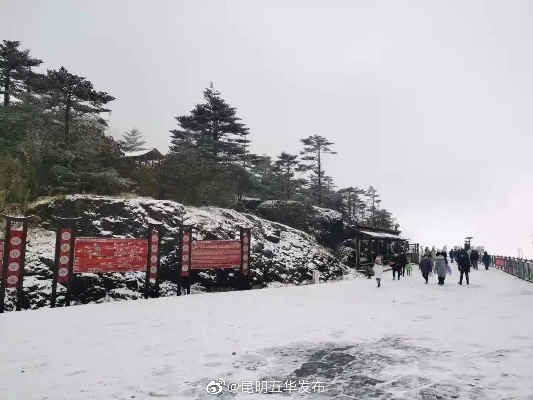 新浪微博