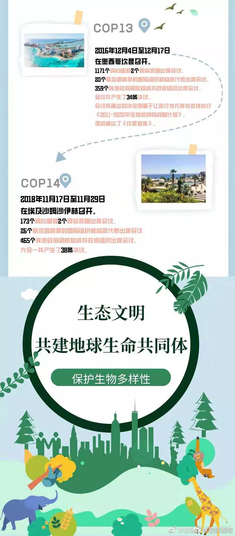 新浪微博