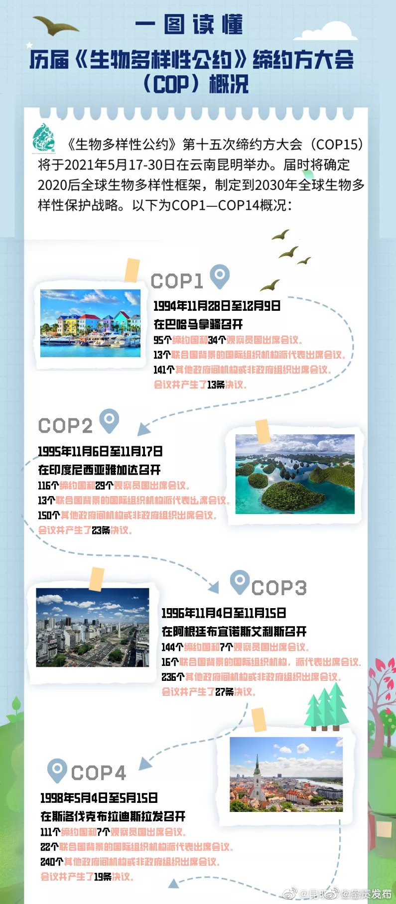 新浪微博