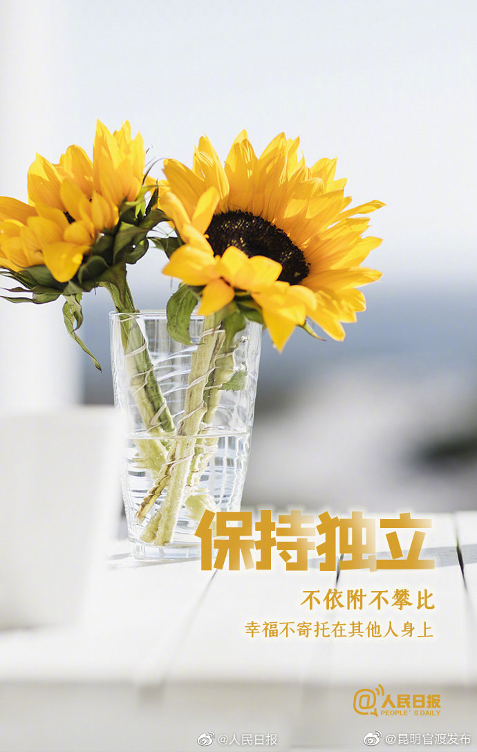 新浪微博