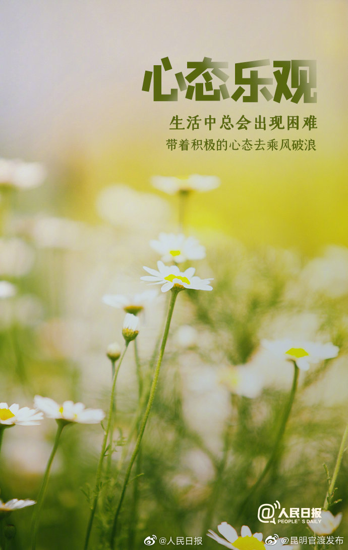 新浪微博