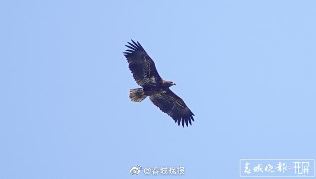 新浪微博