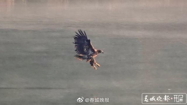 新浪微博