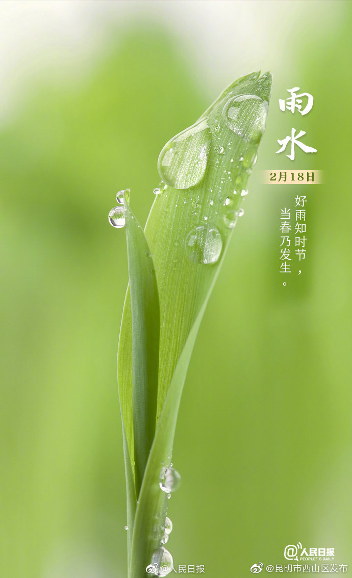 新浪微博