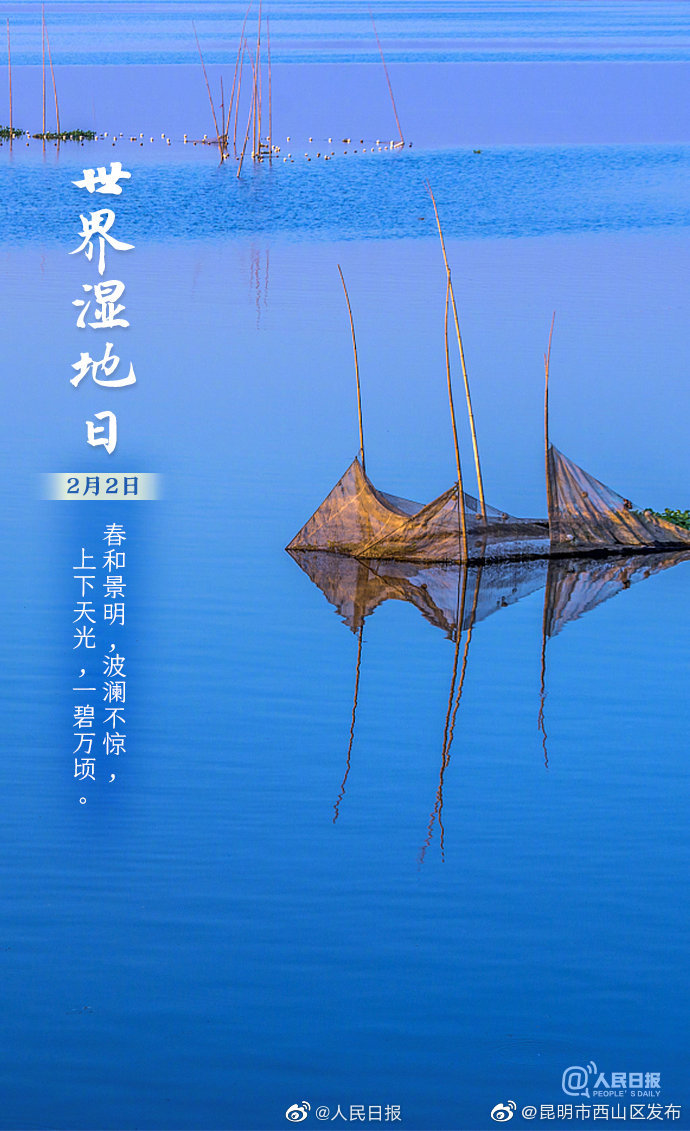 新浪微博