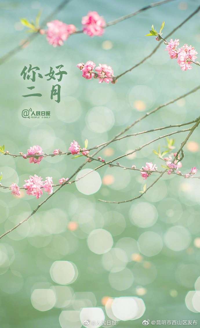 新浪微博