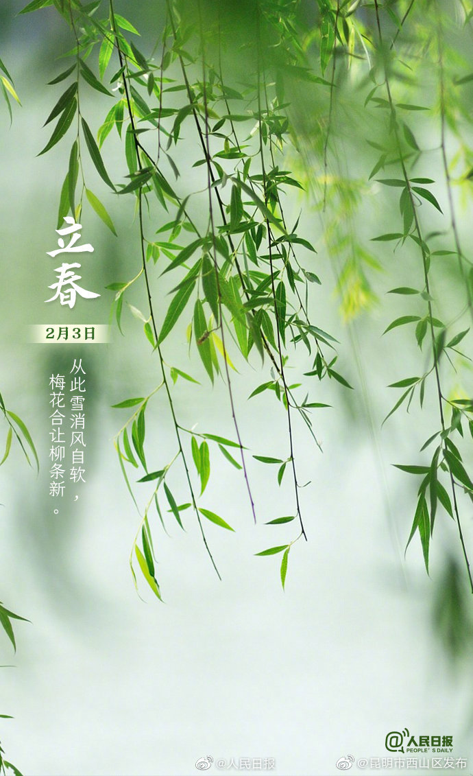 新浪微博