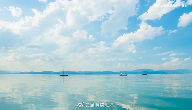 新浪微博