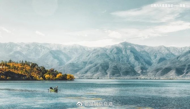 新浪微博