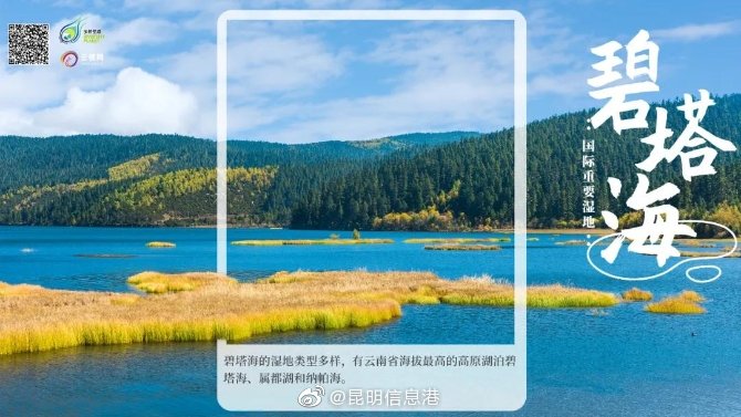 新浪微博