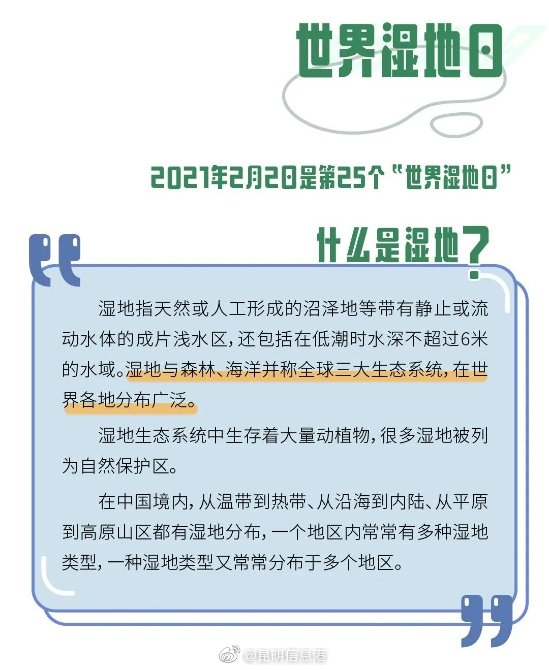 新浪微博