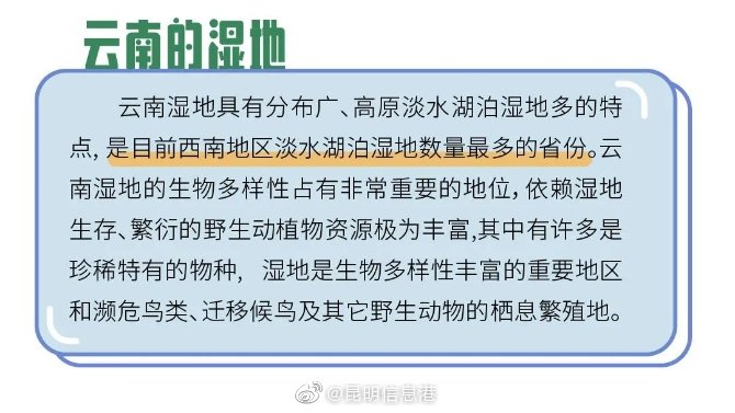 新浪微博