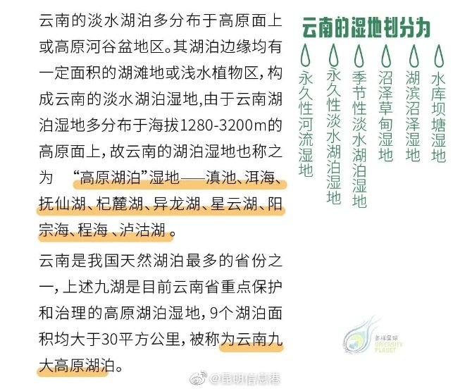 新浪微博