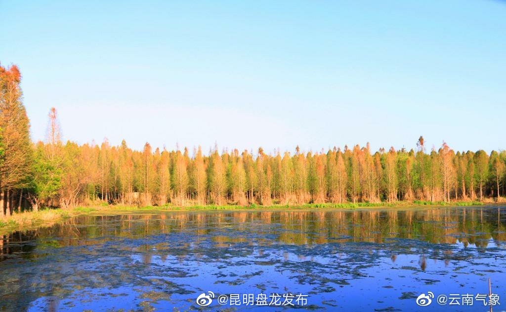 云南省未来24小时天气预报