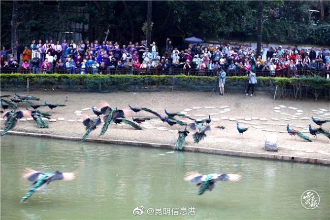 新浪微博