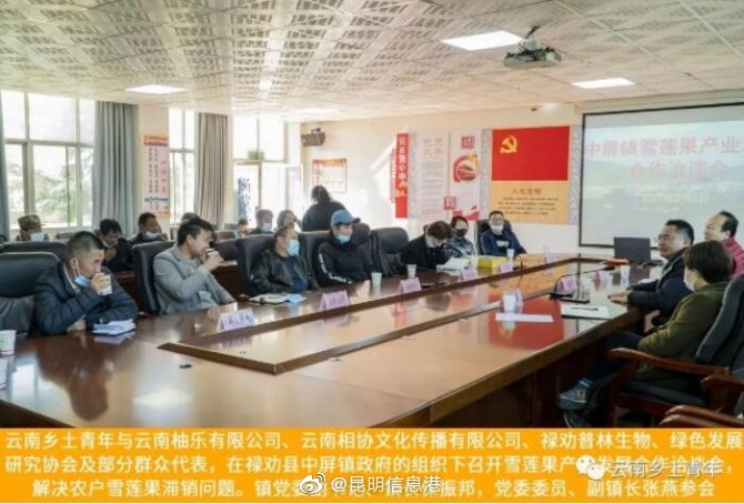 新浪微博