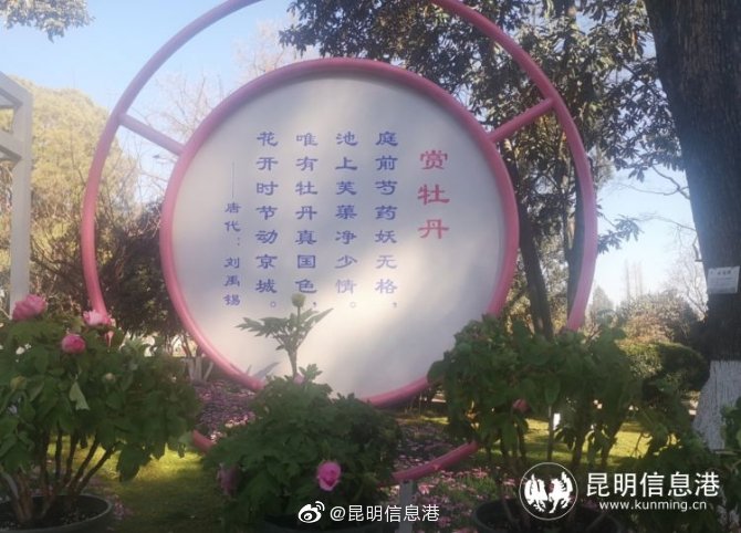 新浪微博
