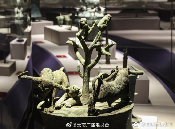 新浪微博