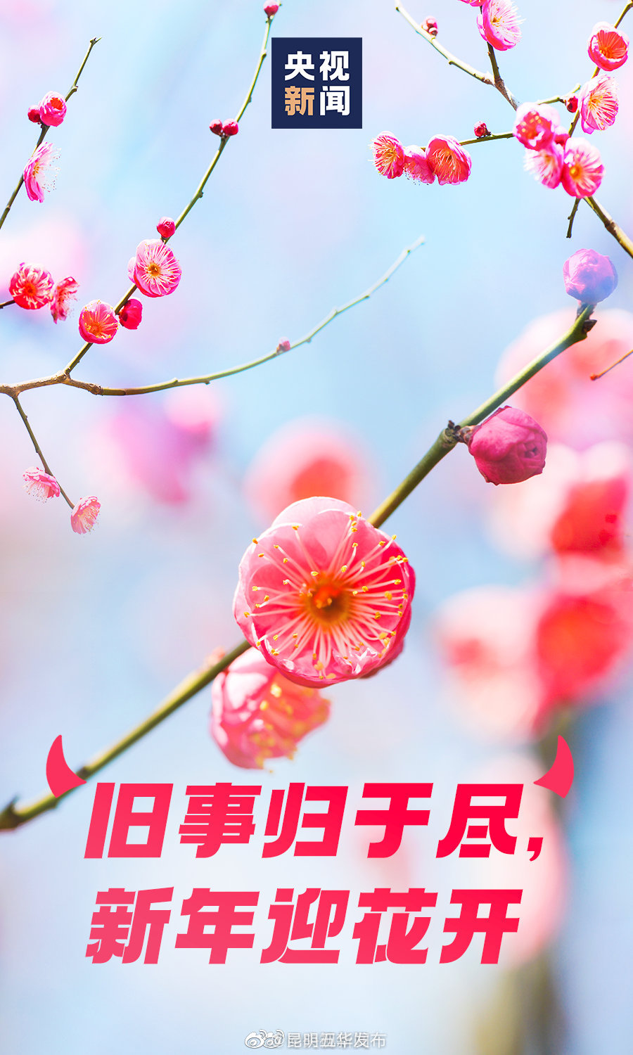 新浪微博