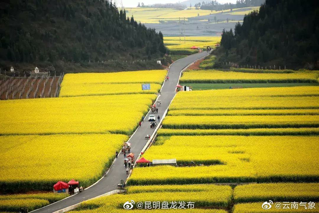 云南省未来24小时天气预报