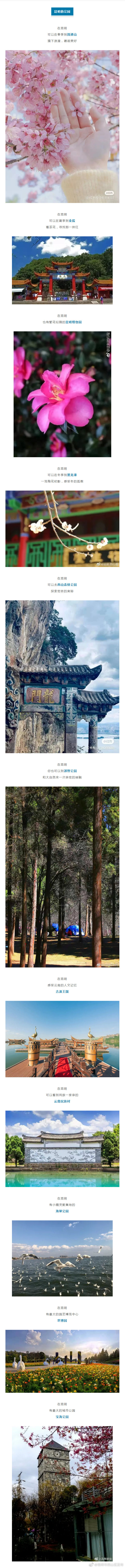 新浪微博