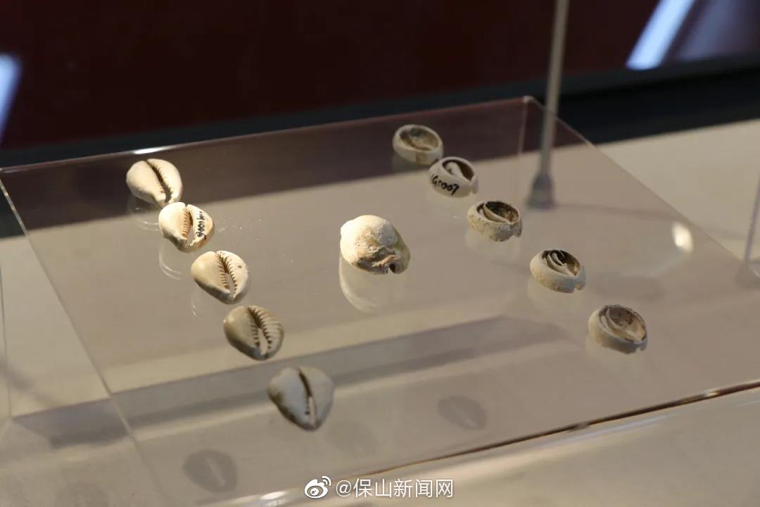 新浪微博