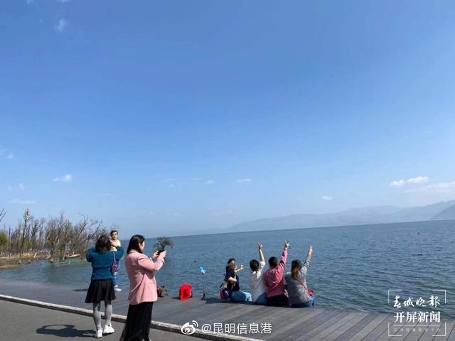 新浪微博