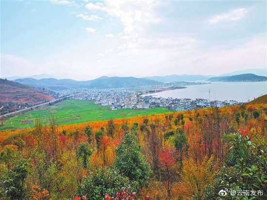大理洱海东岸面山披绿装