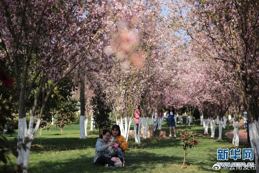 “云南发布”微博