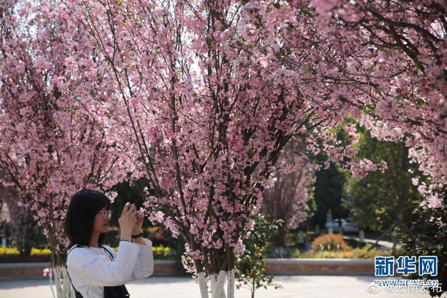 “云南发布”微博