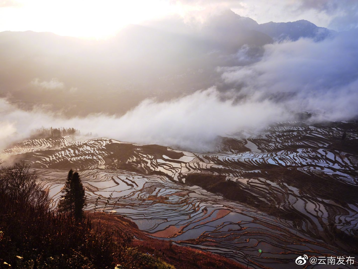 云南环境空气质量预报