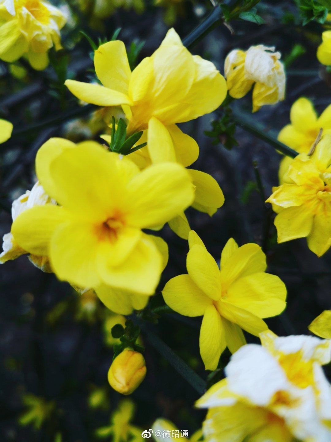 五一小长假 中疾控专家回应清明五一能否出游