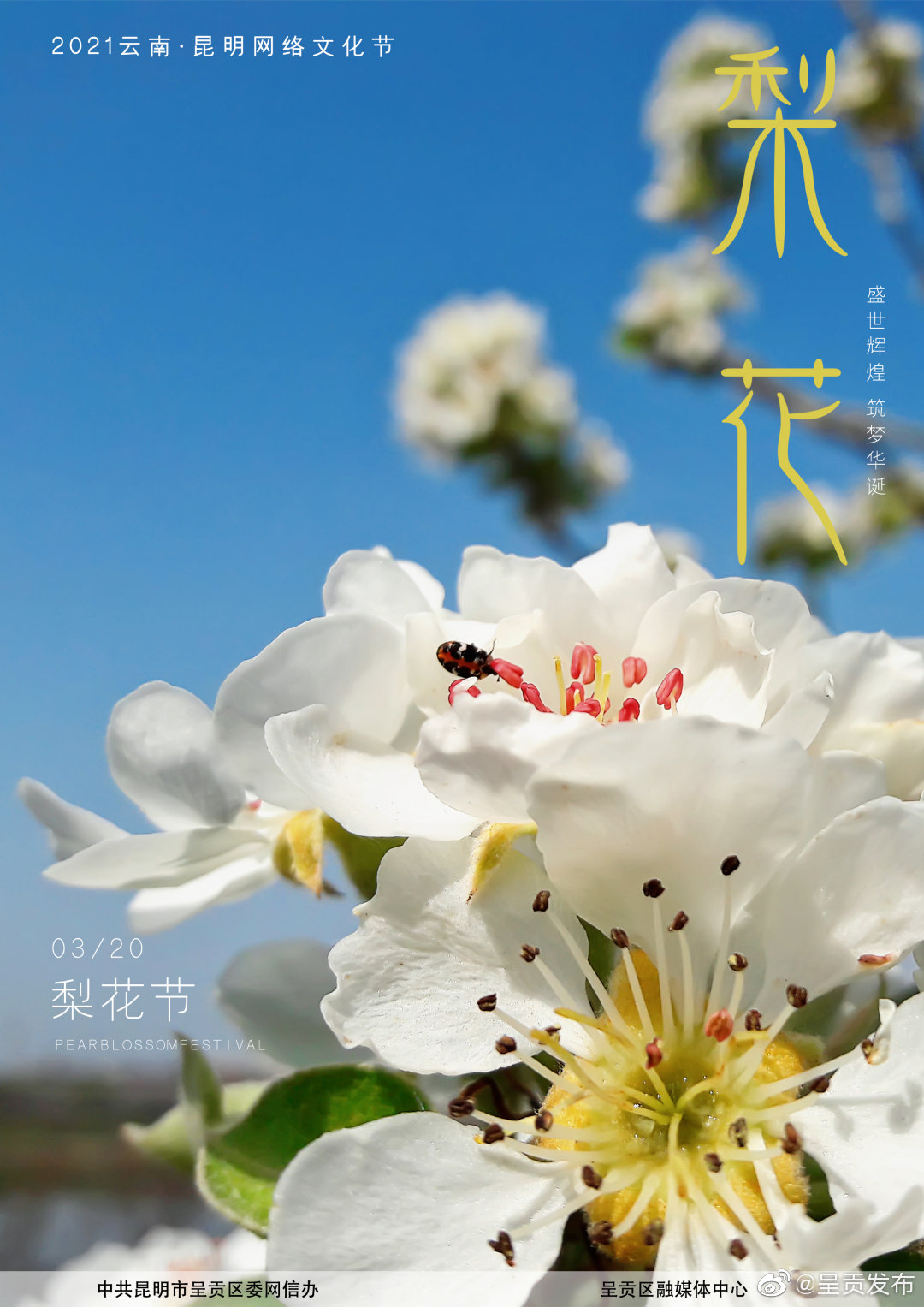 “呈贡发布”微博