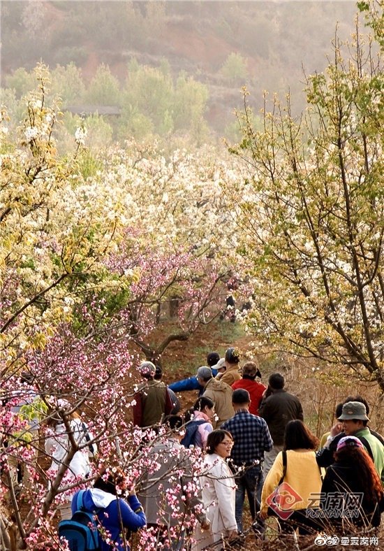 “呈贡发布”微博