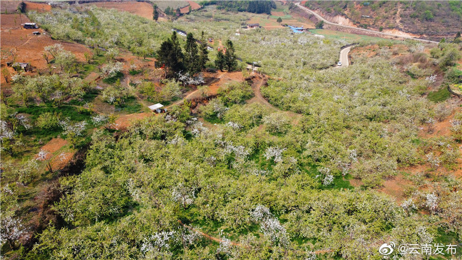 “云南发布”微博