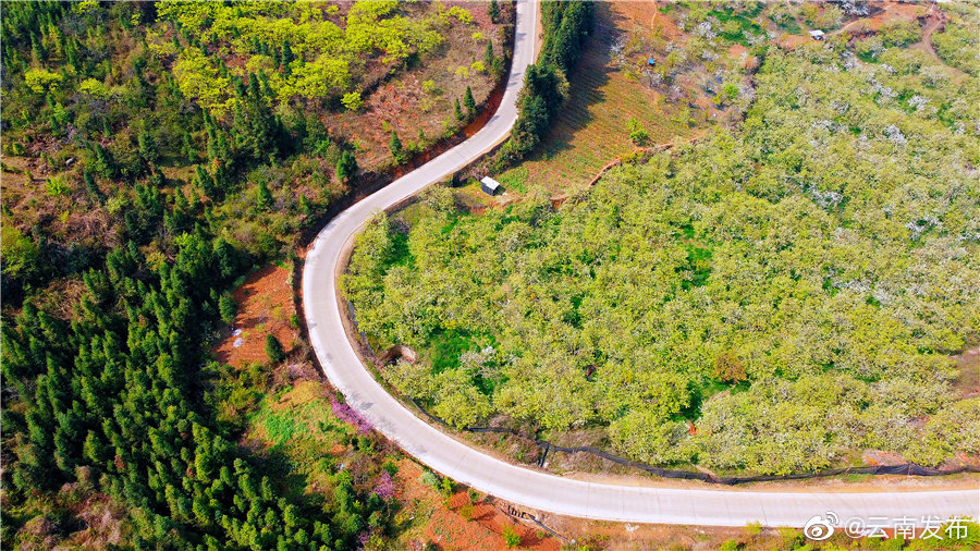 “云南发布”微博