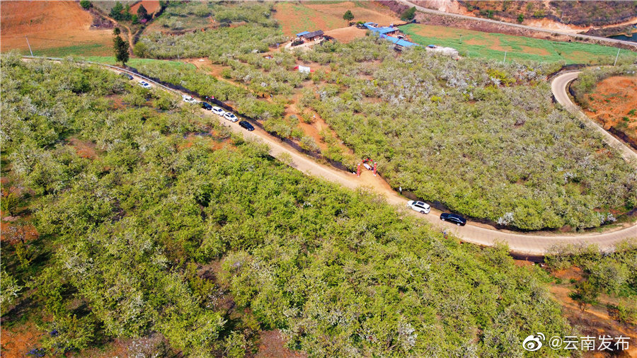 “云南发布”微博