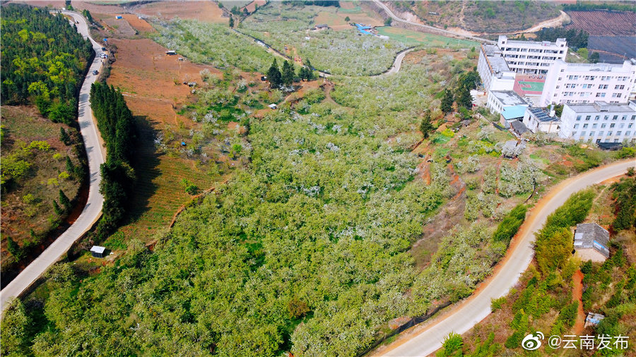 “云南发布”微博