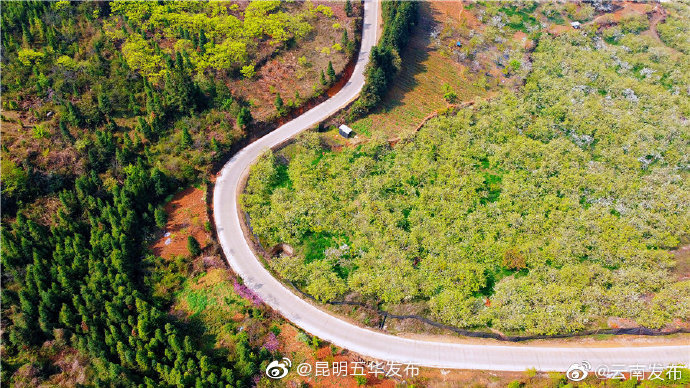 “昆明五华发布”微博